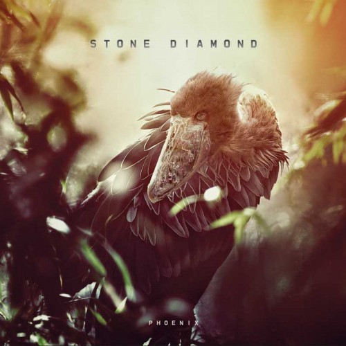Stone Diamond CD 2014